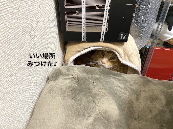 f:id:chikojirou:20200110220426j:plain
