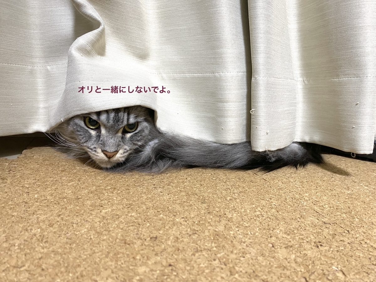 f:id:chikojirou:20200114215515j:plain
