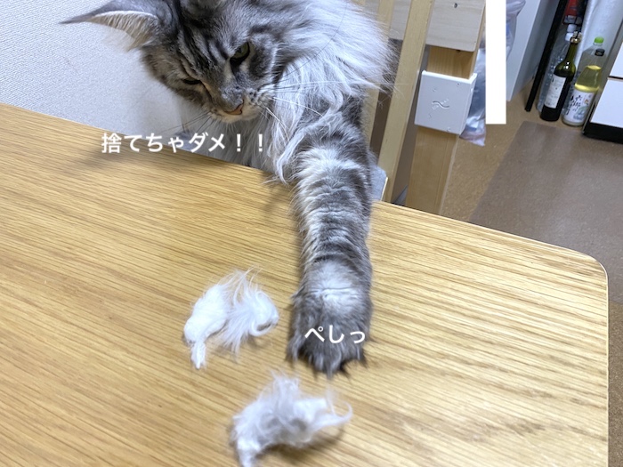 f:id:chikojirou:20200114215537j:plain