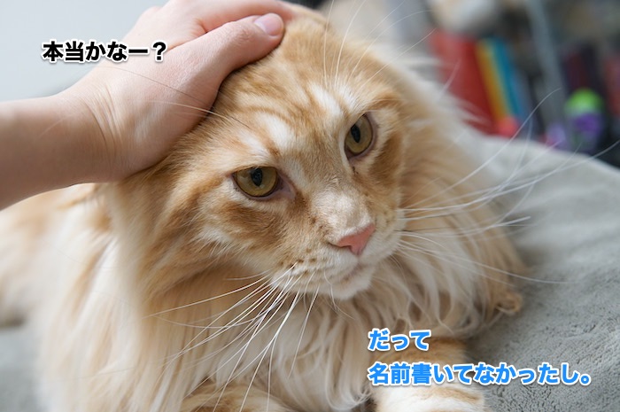 f:id:chikojirou:20200130213958j:plain