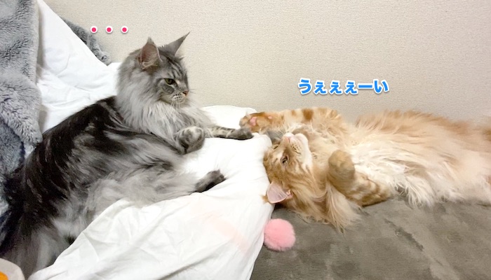 f:id:chikojirou:20200131220630j:plain