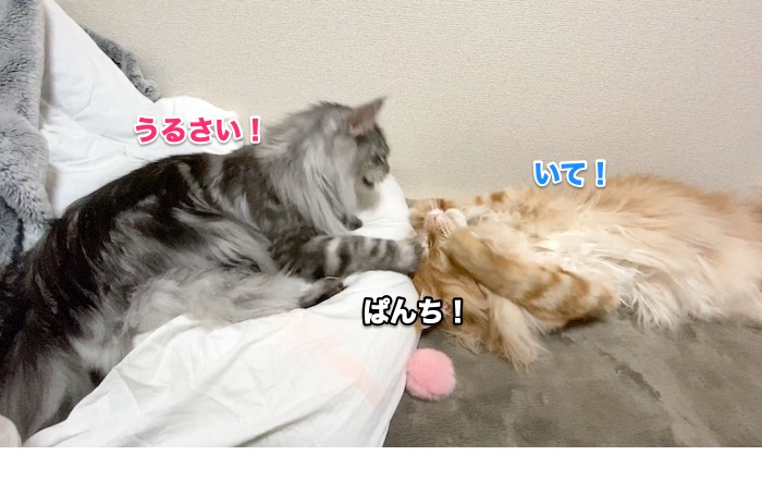 f:id:chikojirou:20200131220633j:plain