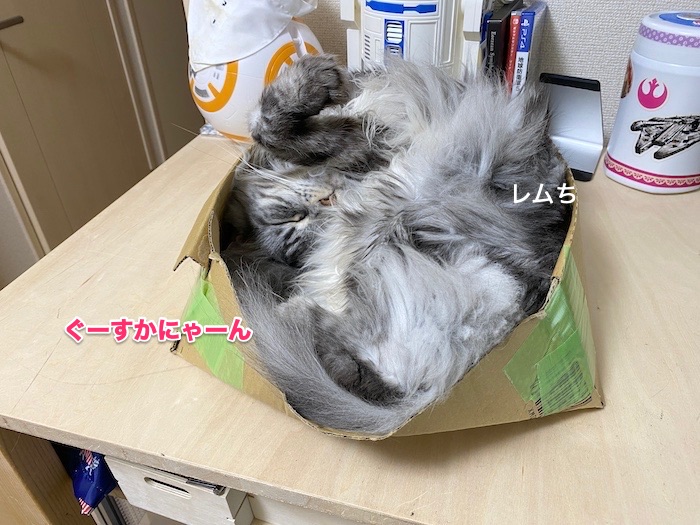 f:id:chikojirou:20200203213333j:plain