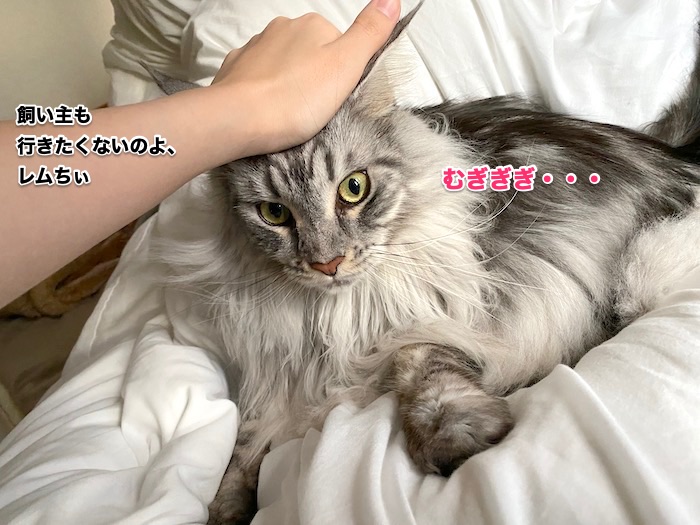 f:id:chikojirou:20200205213047j:plain f:id:chikojirou:20200205213047j:plain