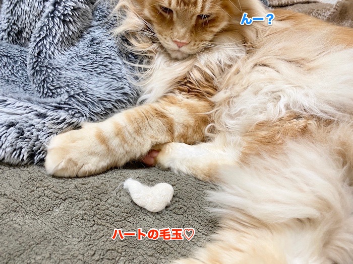 f:id:chikojirou:20200214211209j:plain