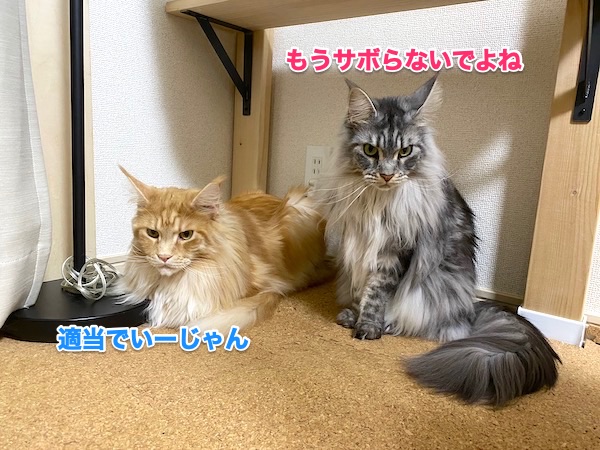 f:id:chikojirou:20200501220337j:plain