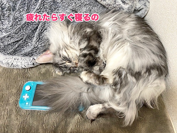 f:id:chikojirou:20200501220416j:plain