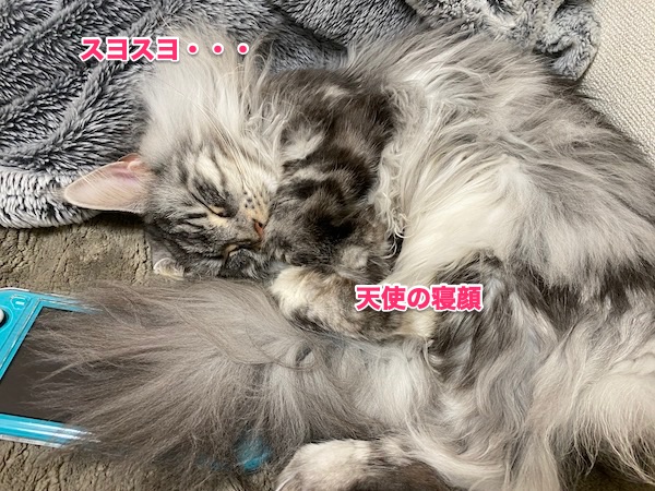 f:id:chikojirou:20200501220419j:plain