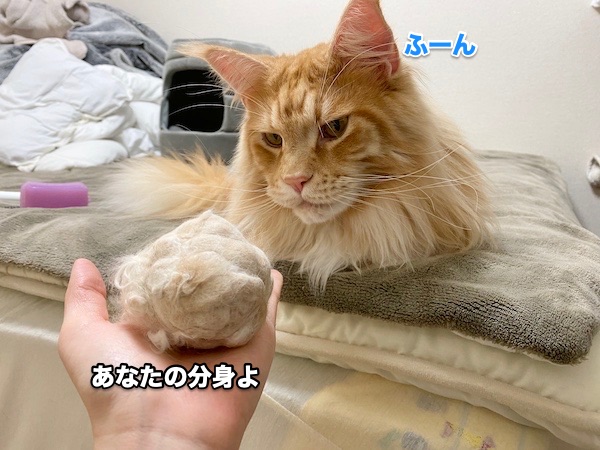 f:id:chikojirou:20200505205135j:plain