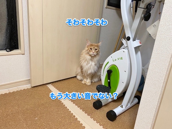 f:id:chikojirou:20200506203211j:plain