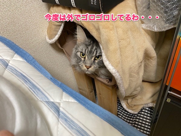 f:id:chikojirou:20200506203214j:plain