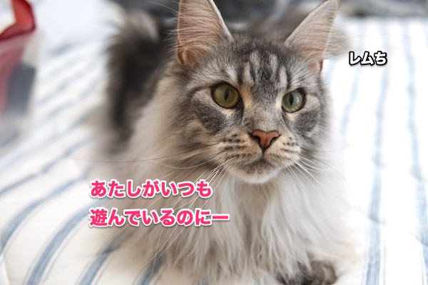 f:id:chikojirou:20200510200715j:plain f:id:chikojirou:20200510200715j:plain