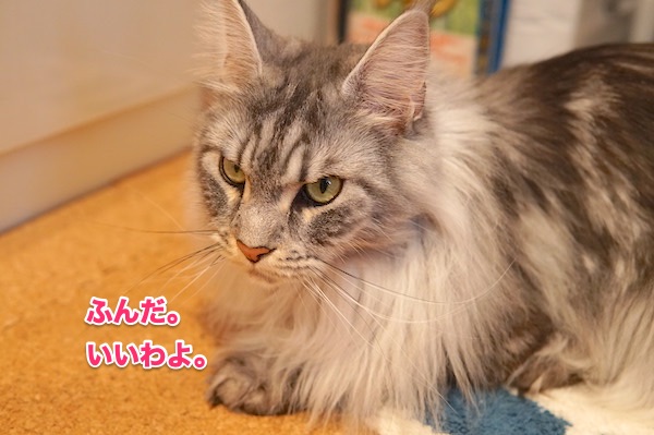 f:id:chikojirou:20200510200718j:plain f:id:chikojirou:20200510200718j:plain