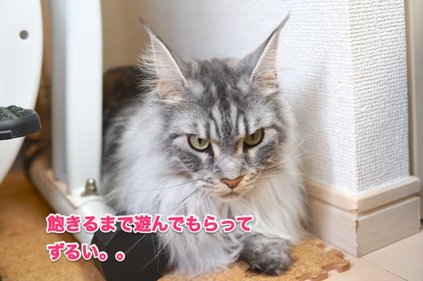 f:id:chikojirou:20200510200725j:plain f:id:chikojirou:20200510200725j:plain