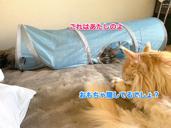 f:id:chikojirou:20200512212020j:plain