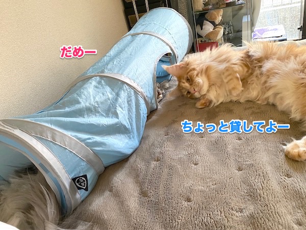 f:id:chikojirou:20200512212024j:plain