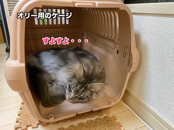 f:id:chikojirou:20200518214415j:plain