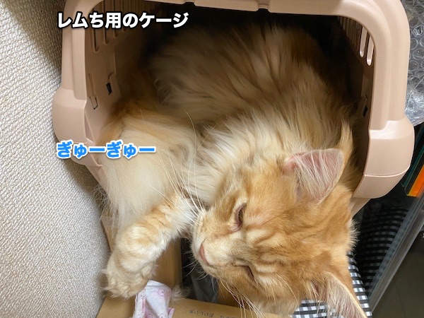 f:id:chikojirou:20200518214418j:plain