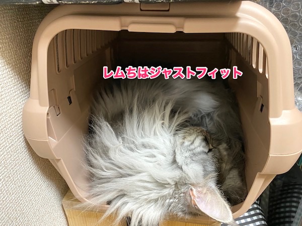 f:id:chikojirou:20200518220808j:plain