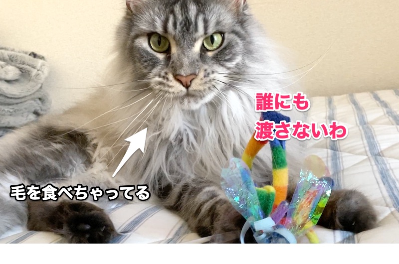 f:id:chikojirou:20200522204241j:plain