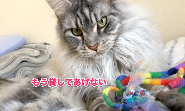 f:id:chikojirou:20200522204250j:plain