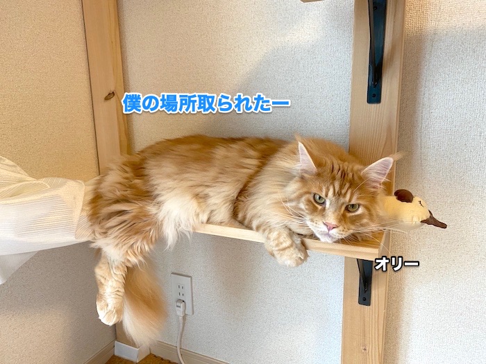 f:id:chikojirou:20200603201257j:plain