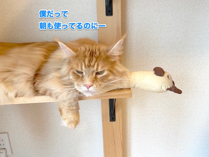 f:id:chikojirou:20200603201307j:plain