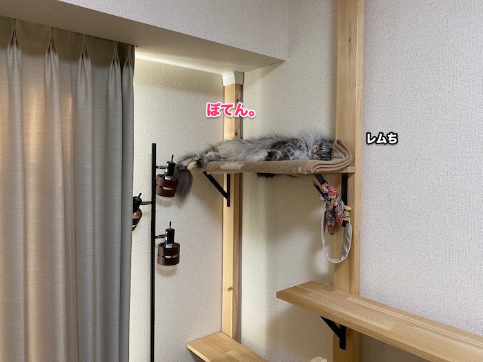 f:id:chikojirou:20200617222620j:plain