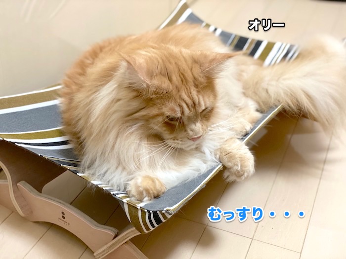f:id:chikojirou:20200618211250j:plain
