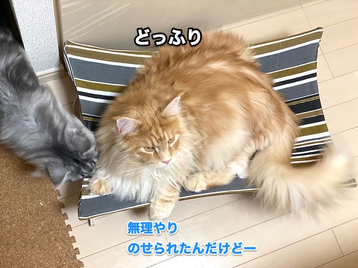 f:id:chikojirou:20200618211253j:plain