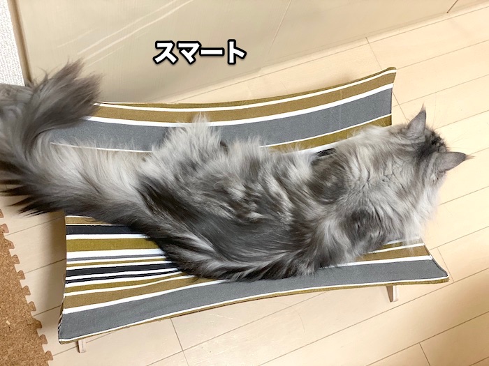f:id:chikojirou:20200618211258j:plain