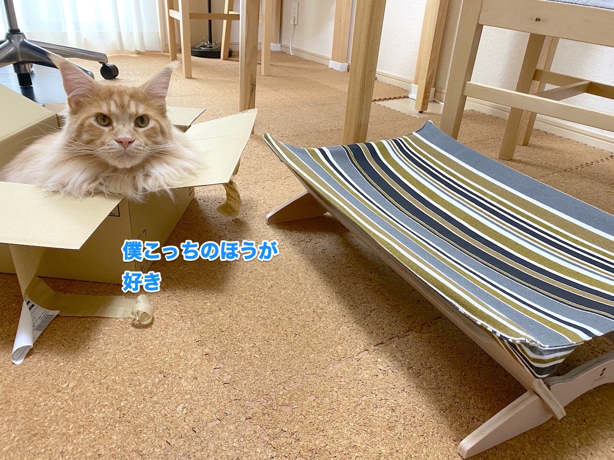 f:id:chikojirou:20200621163707j:plain