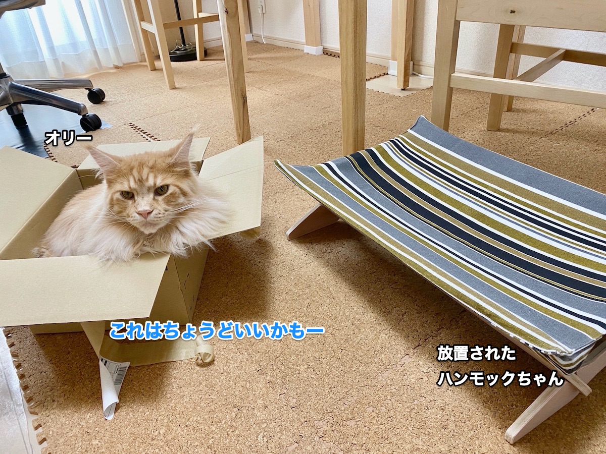 f:id:chikojirou:20200621163711j:plain