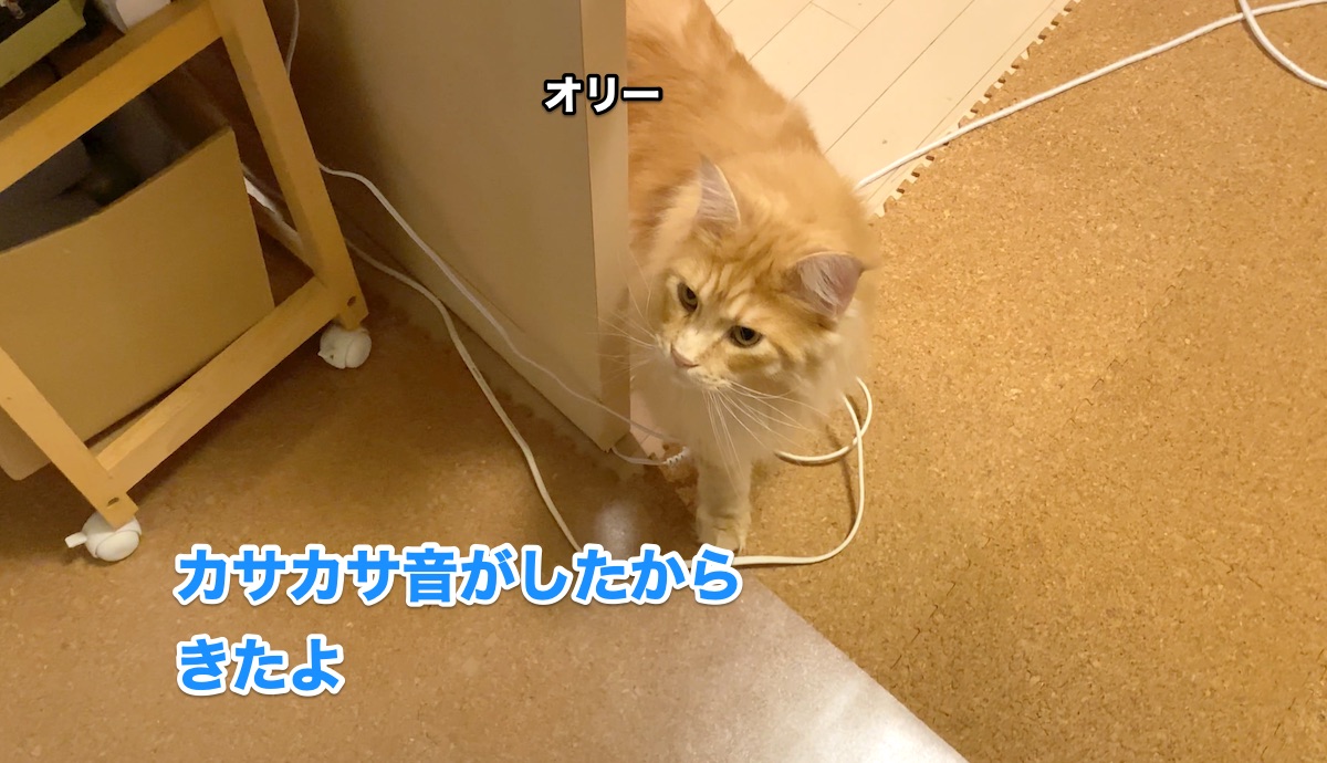 f:id:chikojirou:20200623130605j:plain