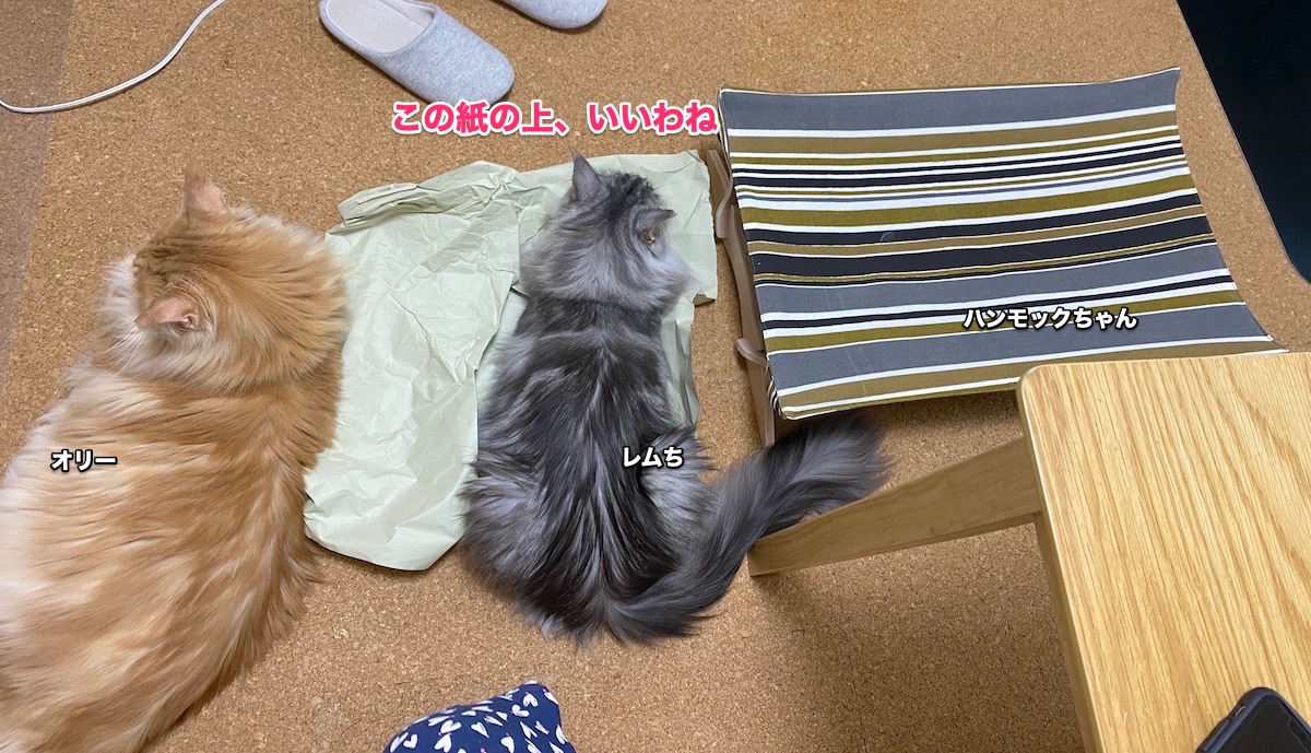 f:id:chikojirou:20200623130658j:plain