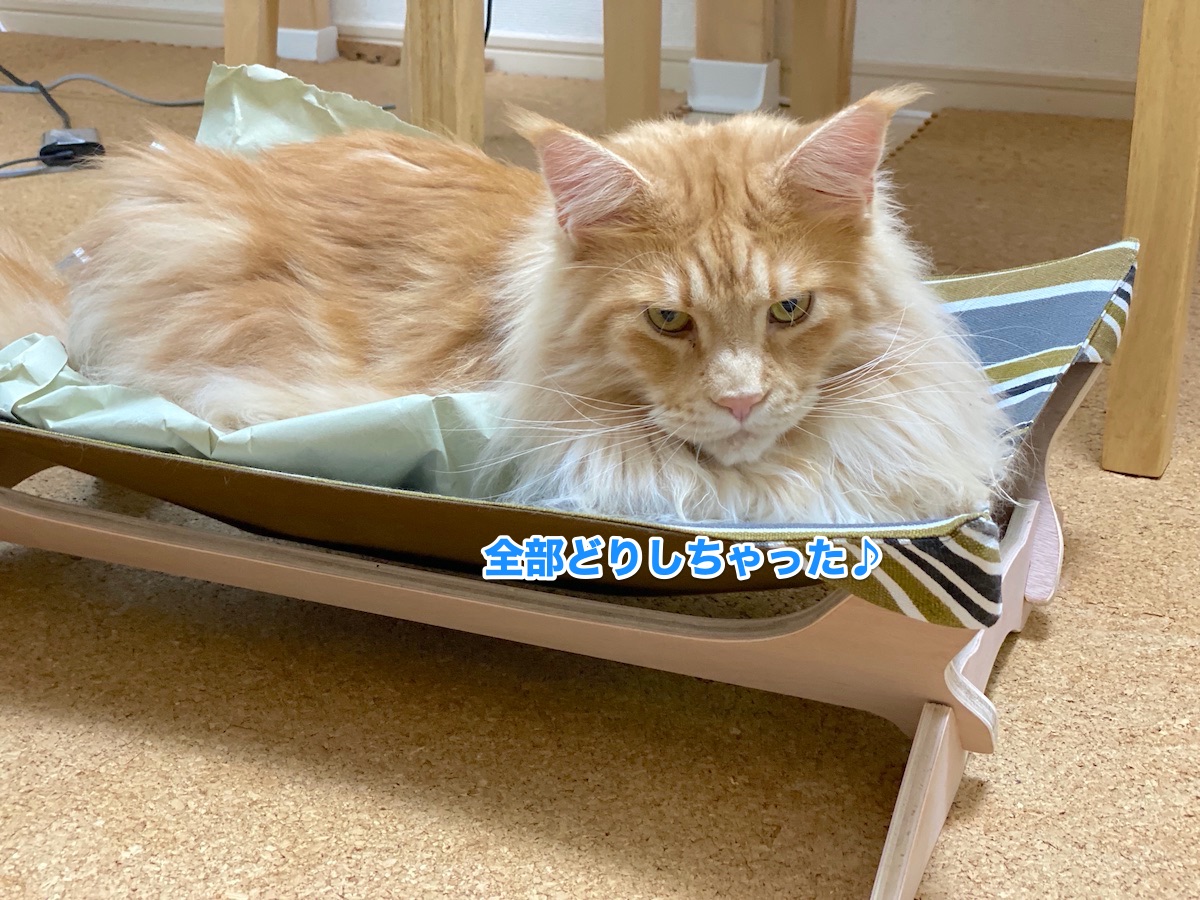 f:id:chikojirou:20200623130711j:plain