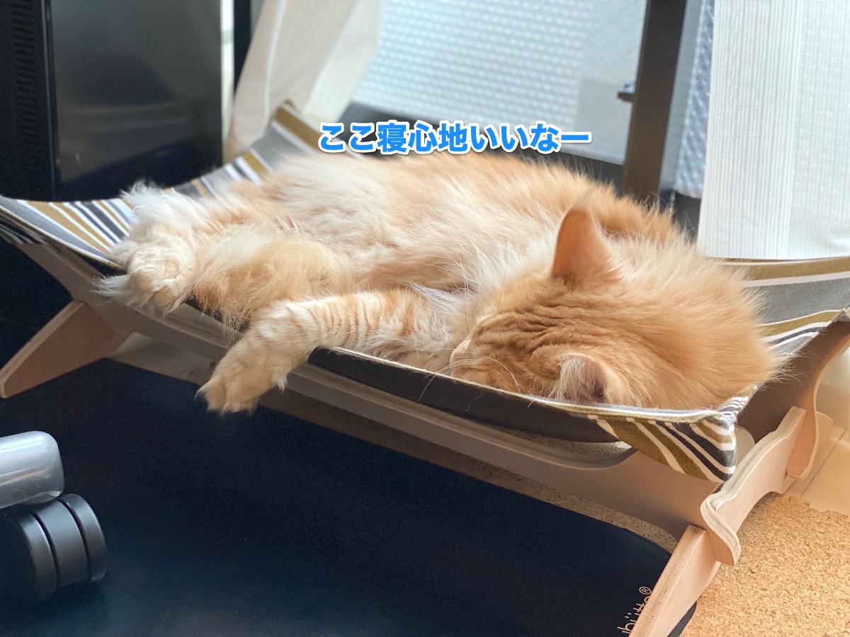 f:id:chikojirou:20200624211740j:plain