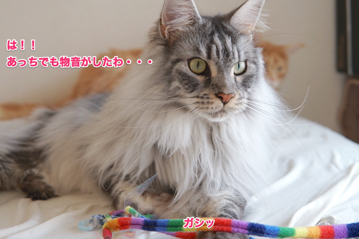 f:id:chikojirou:20200625204432j:plain