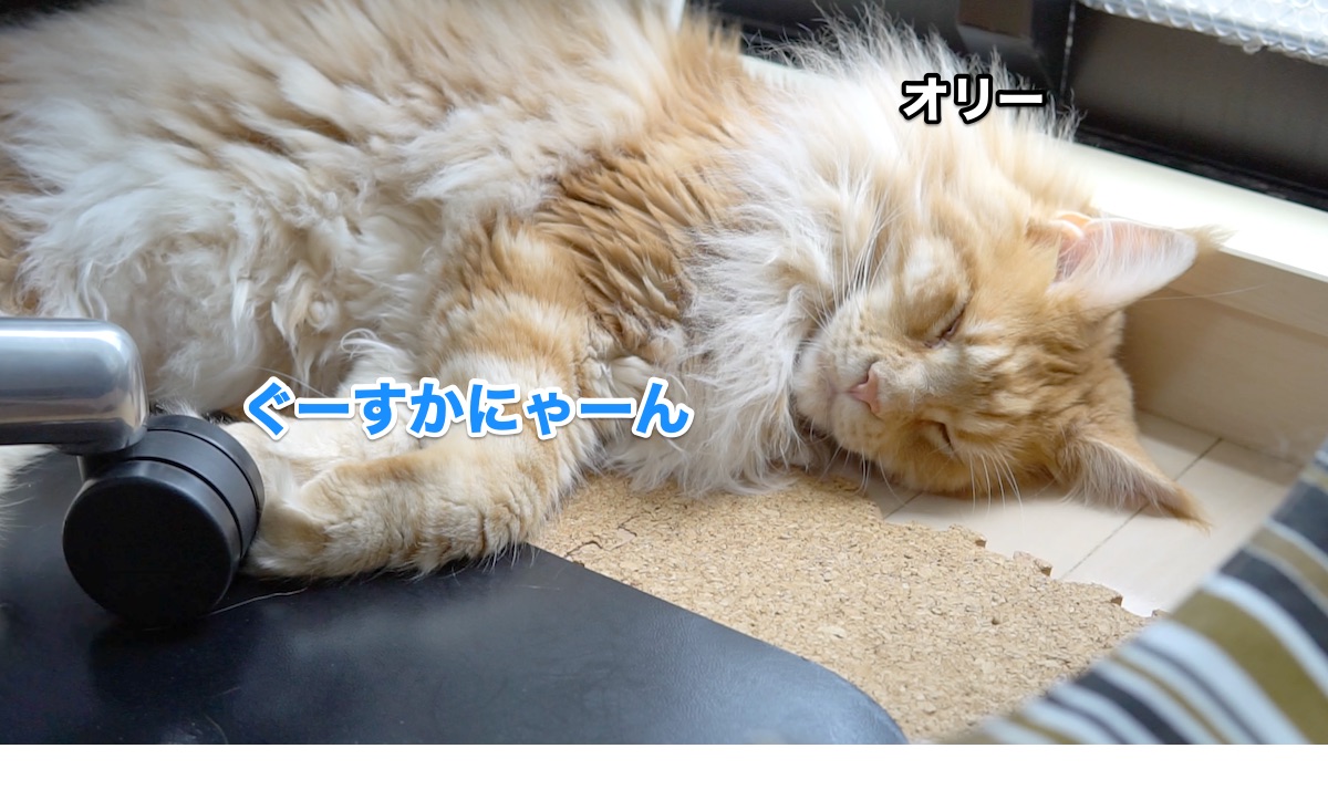 f:id:chikojirou:20200626212002j:plain f:id:chikojirou:20200626212002j:plain