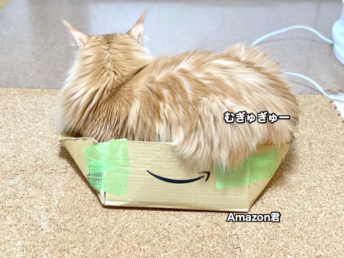 f:id:chikojirou:20200626212010j:plain f:id:chikojirou:20200626212010j:plain
