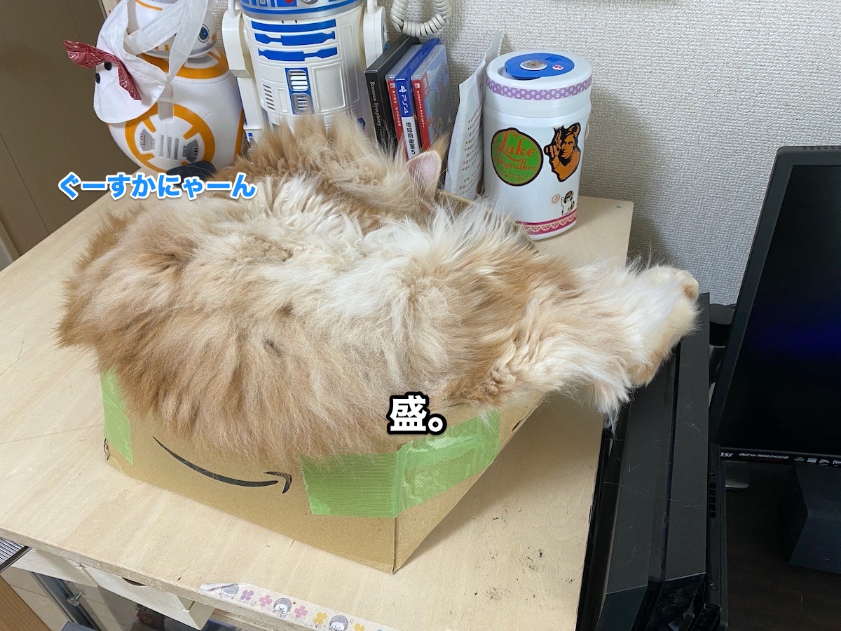 f:id:chikojirou:20200626212018j:plain f:id:chikojirou:20200626212018j:plain
