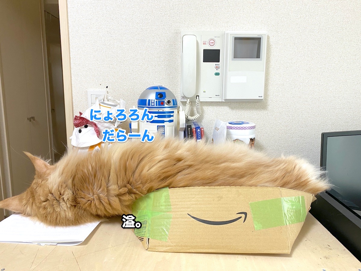 f:id:chikojirou:20200626212026j:plain f:id:chikojirou:20200626212026j:plain
