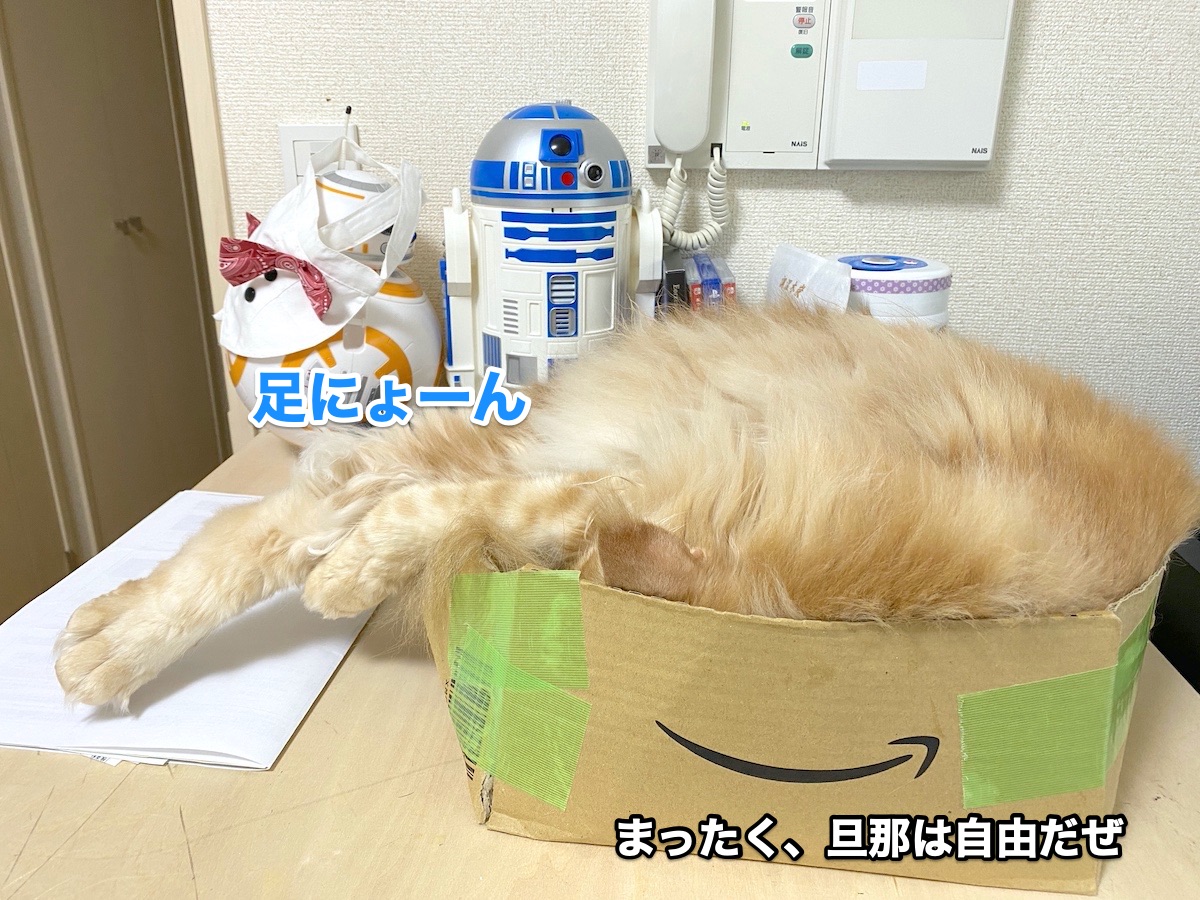 f:id:chikojirou:20200626212030j:plain