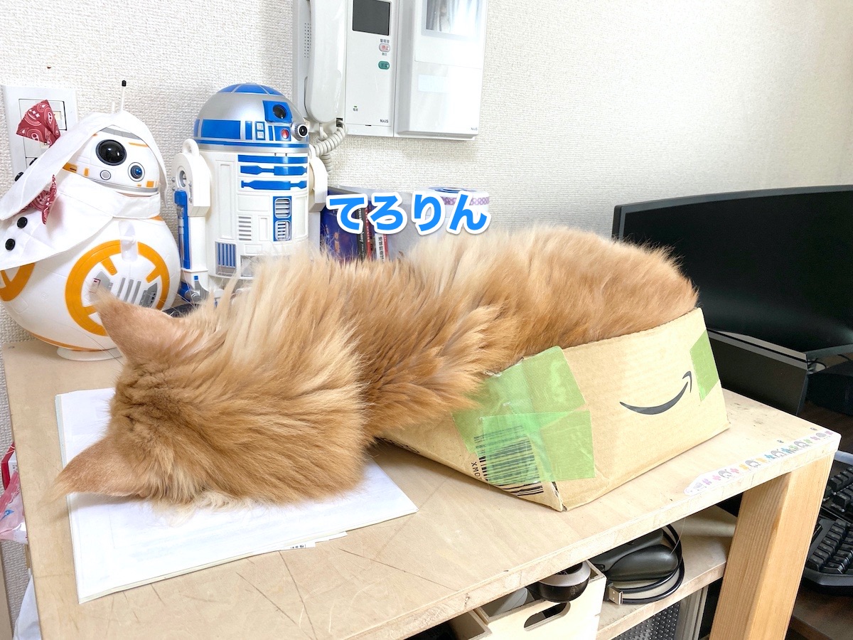 f:id:chikojirou:20200630201836j:plain