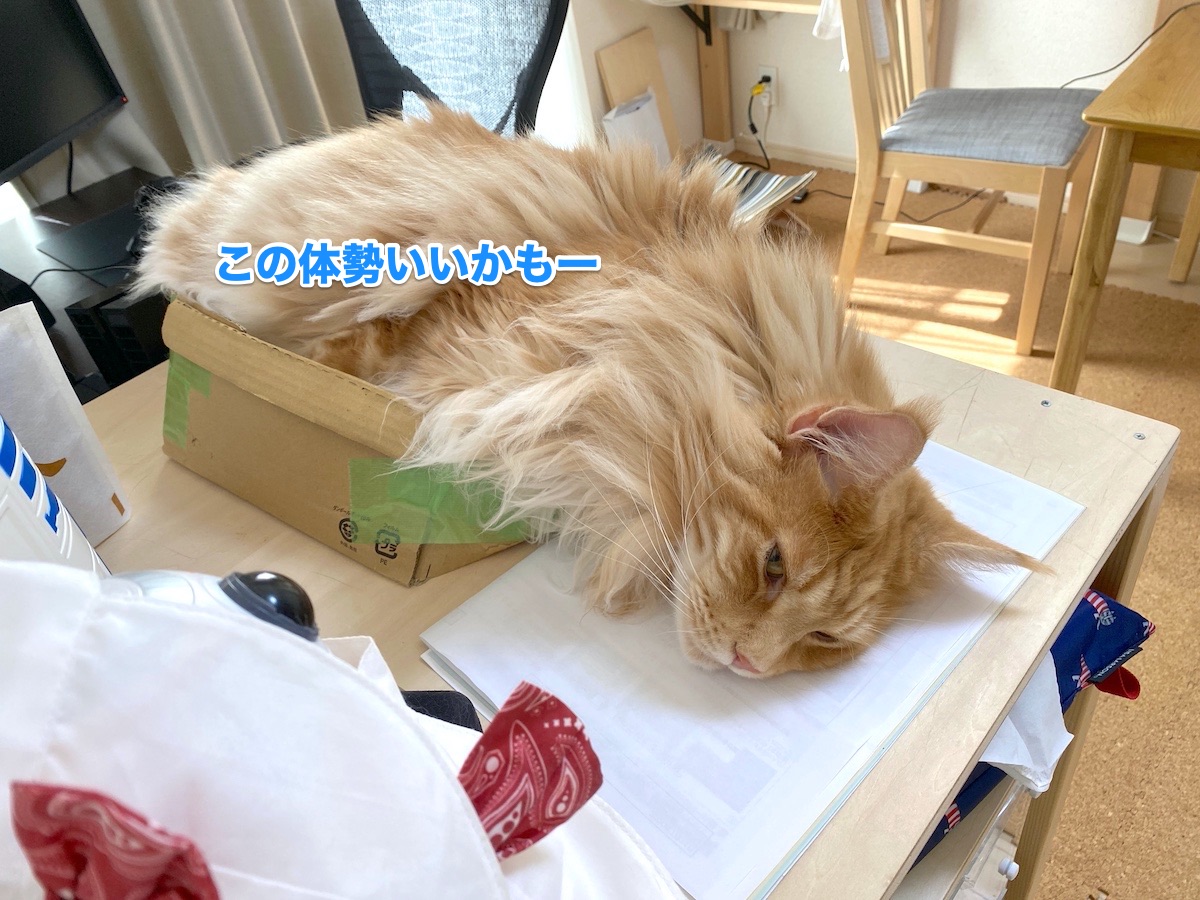f:id:chikojirou:20200630201840j:plain