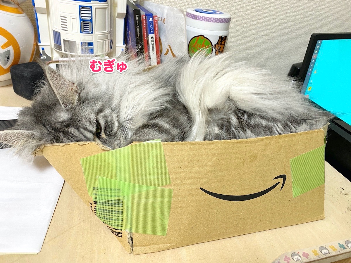 f:id:chikojirou:20200630201845j:plain