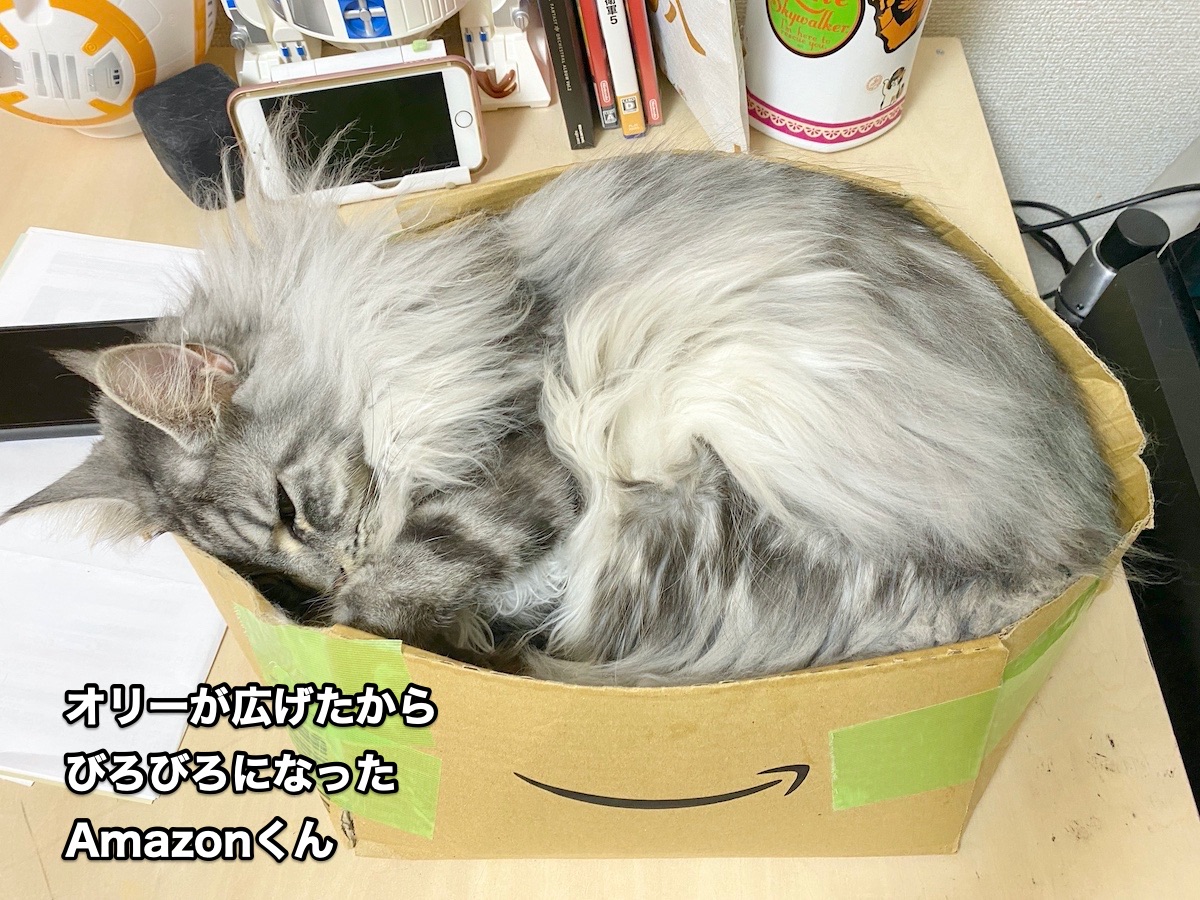 f:id:chikojirou:20200630201849j:plain