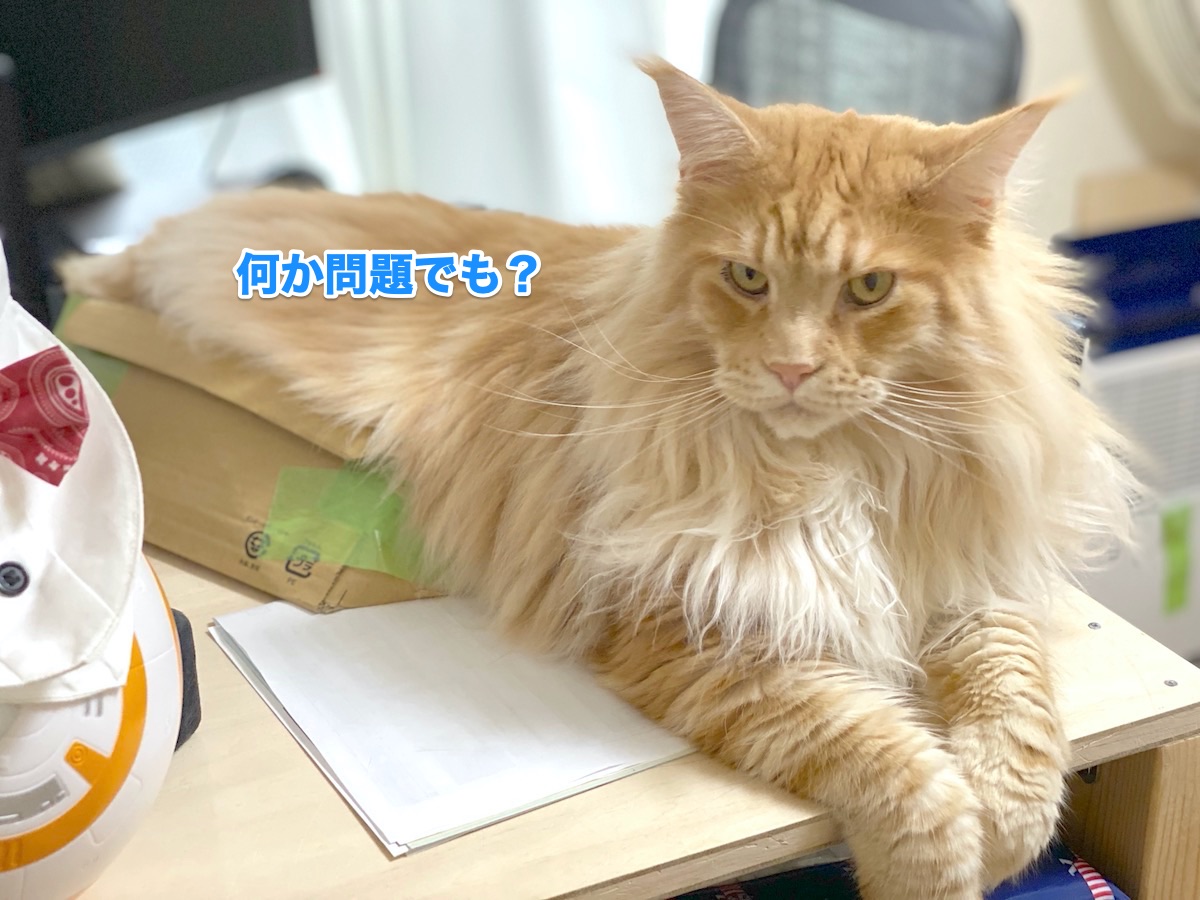 f:id:chikojirou:20200630201900j:plain