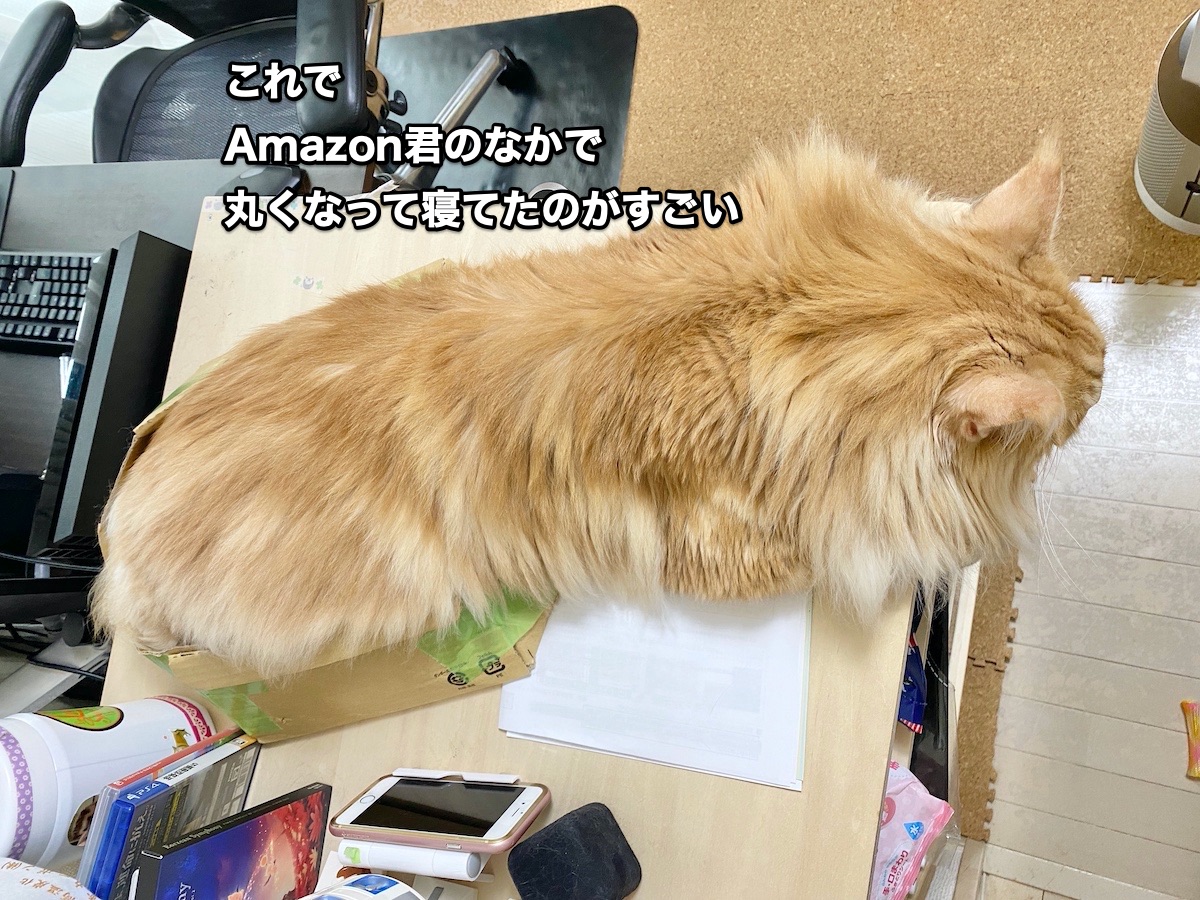 f:id:chikojirou:20200630201903j:plain