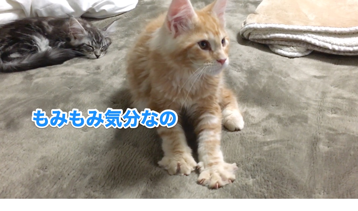 f:id:chikojirou:20200706212604j:plain
